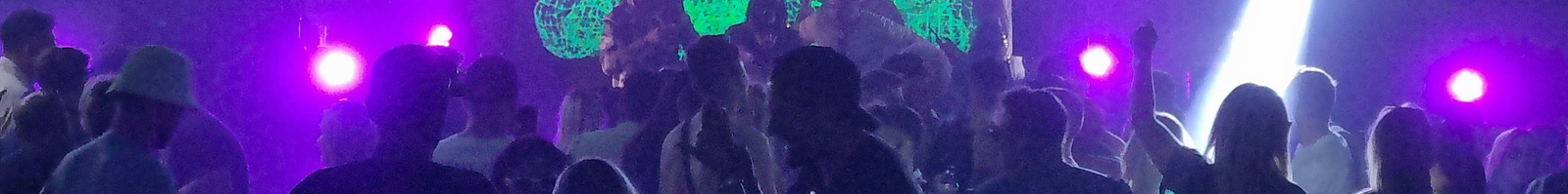 Thin header image of a crowd partying